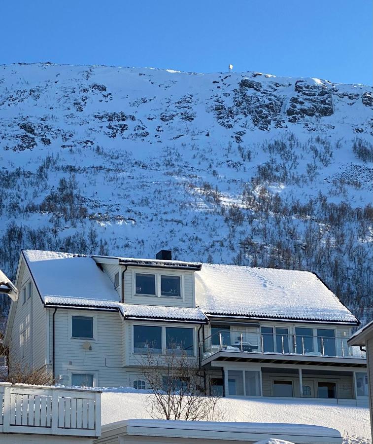 Polar Arctic View - Free Parking! Apartment Tromso Ngoại thất bức ảnh